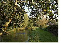 School Farm