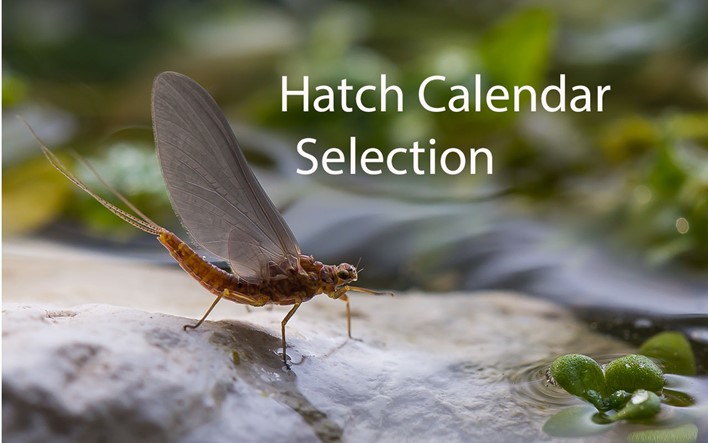 Fishing Breaks Hatch Calendar Selection Shop- chalk stream fly-fishing