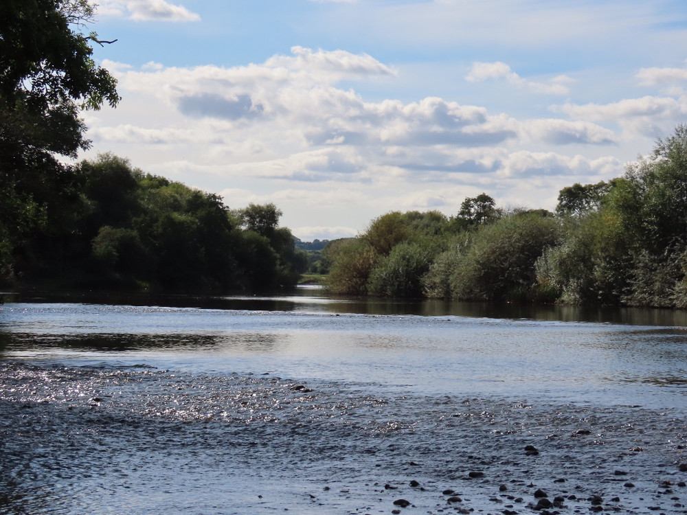 Fishing Breaks - River Wye