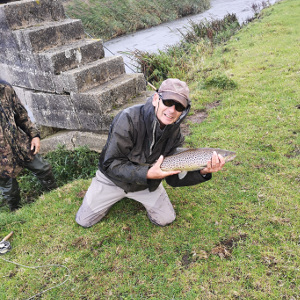 Sea Trout